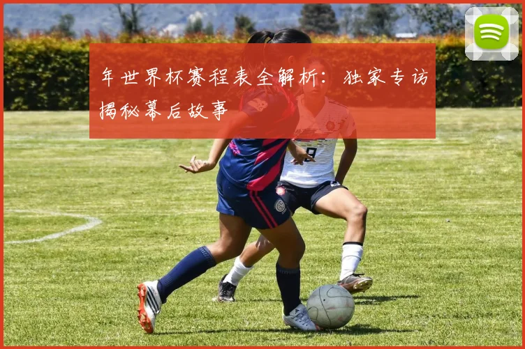 年世界杯赛程表全解析：独家专访揭秘幕后故事