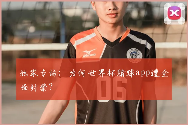 独家专访：为何世界杯赌球app遭全面封禁？