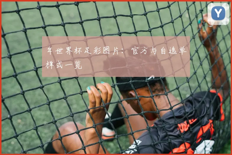 年世界杯足彩图片：官方与自选单样式一览